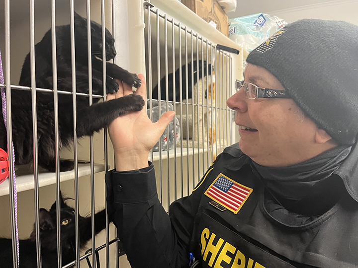 Animal Control officer offers tips on finding the right animal for your